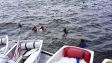 IMG-20180610-WA0017.jpg