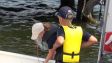 IMG-20180610-WA0033.jpg