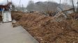 20190104_113909_resized.jpg